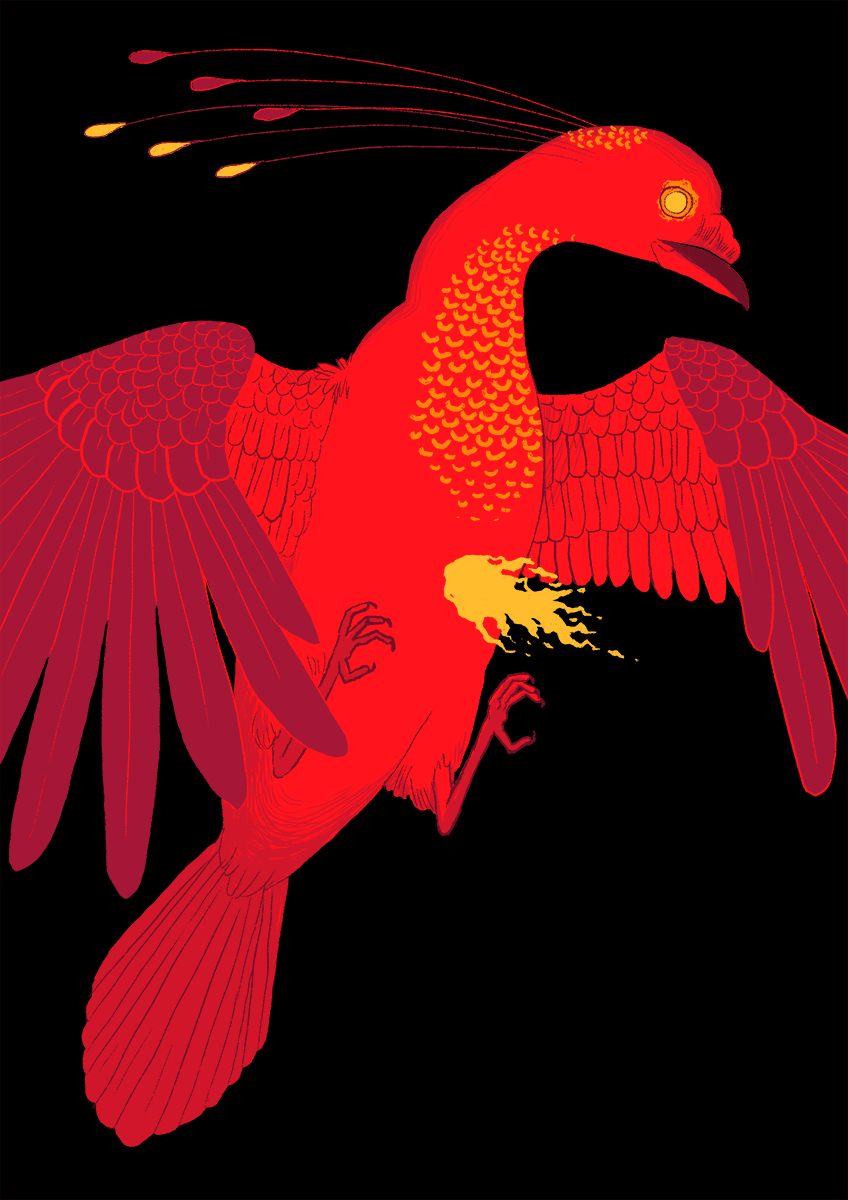 Phoenix print
