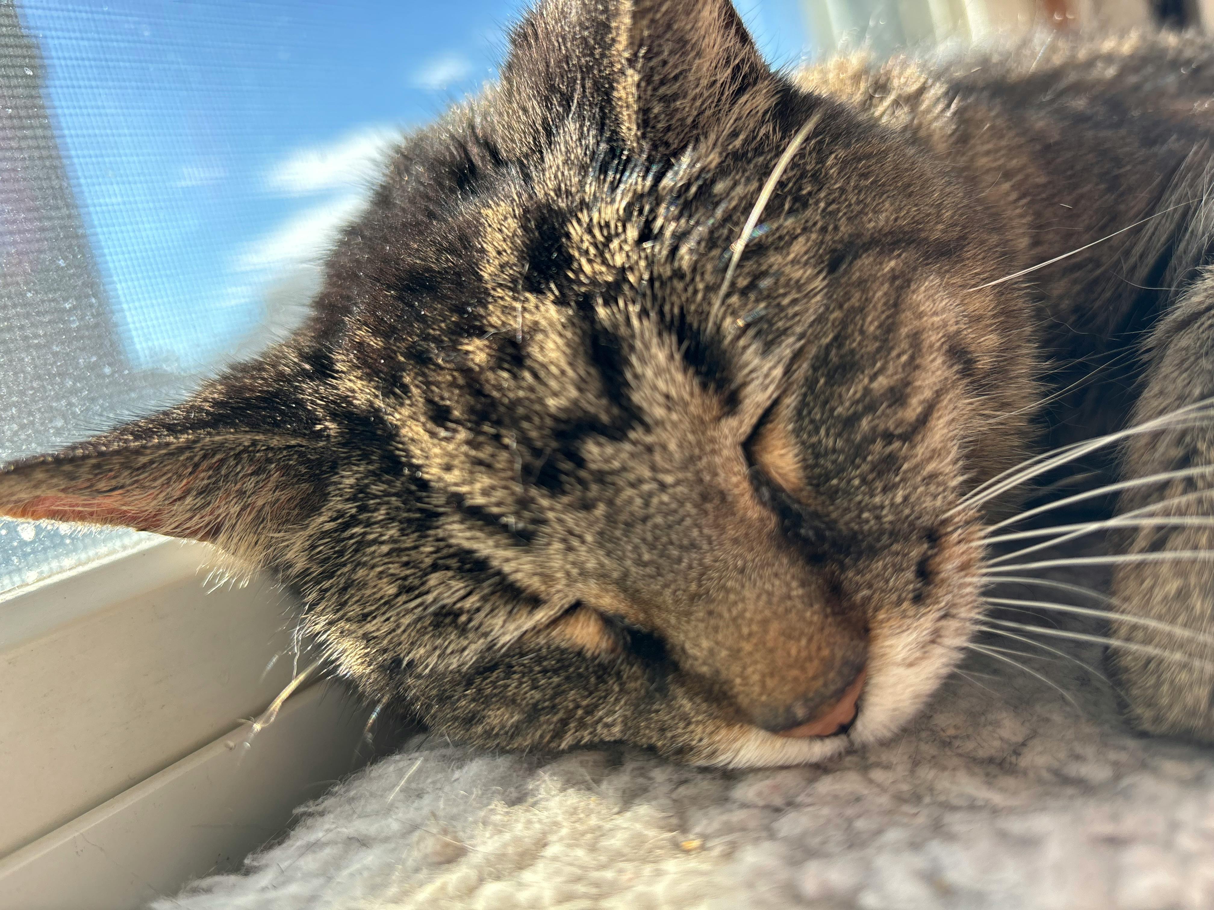 user avatar image for MadMat