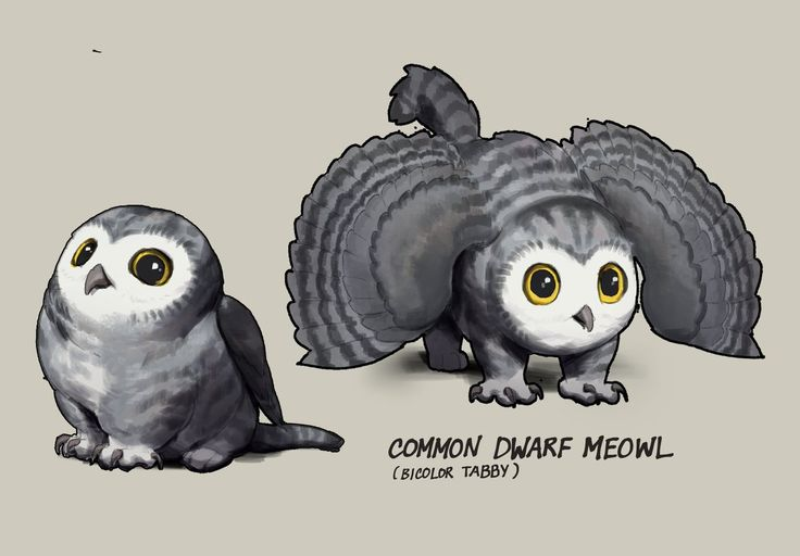 user avatar image for Noshima