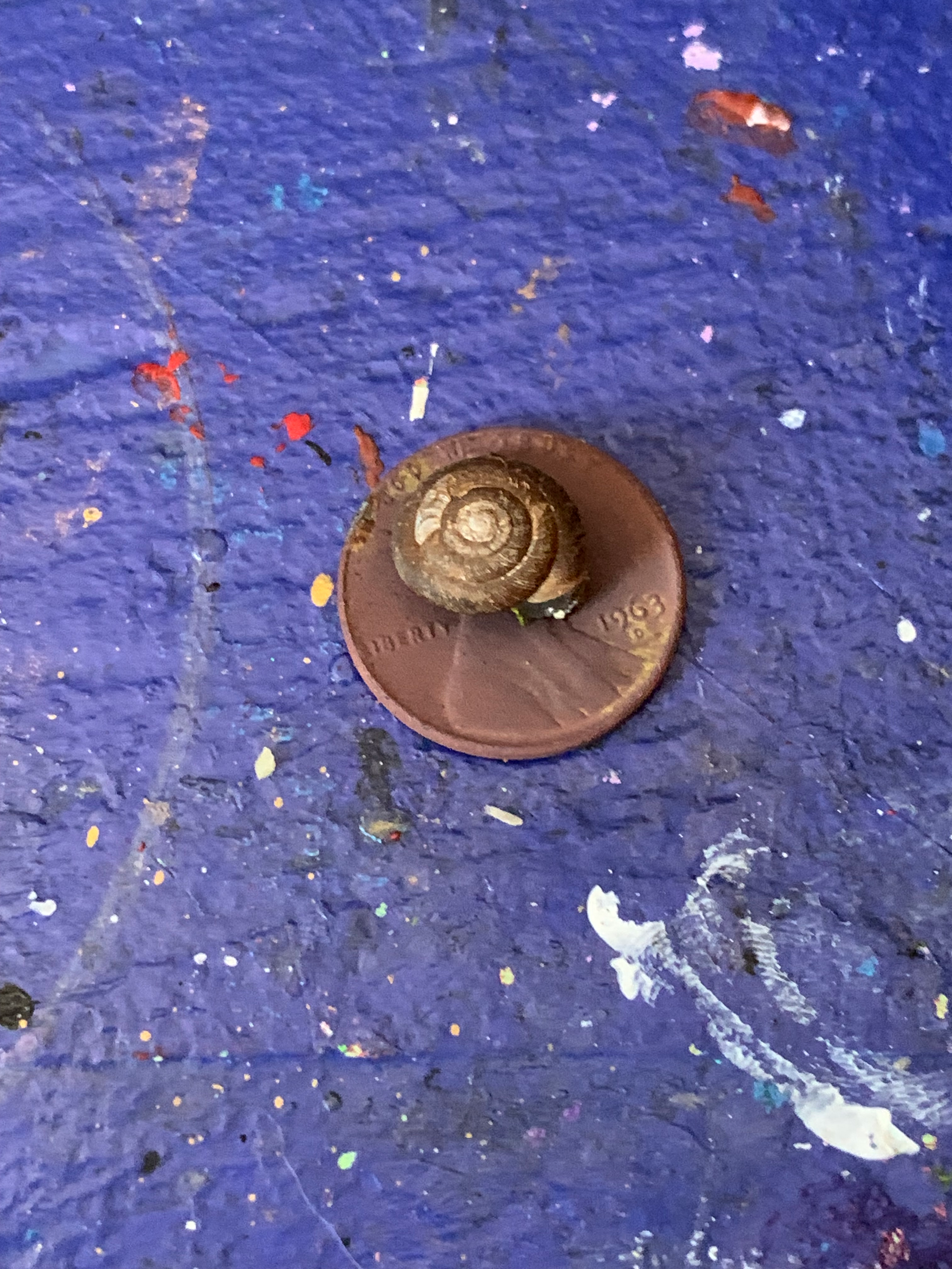 user avatar image for Lucinda 