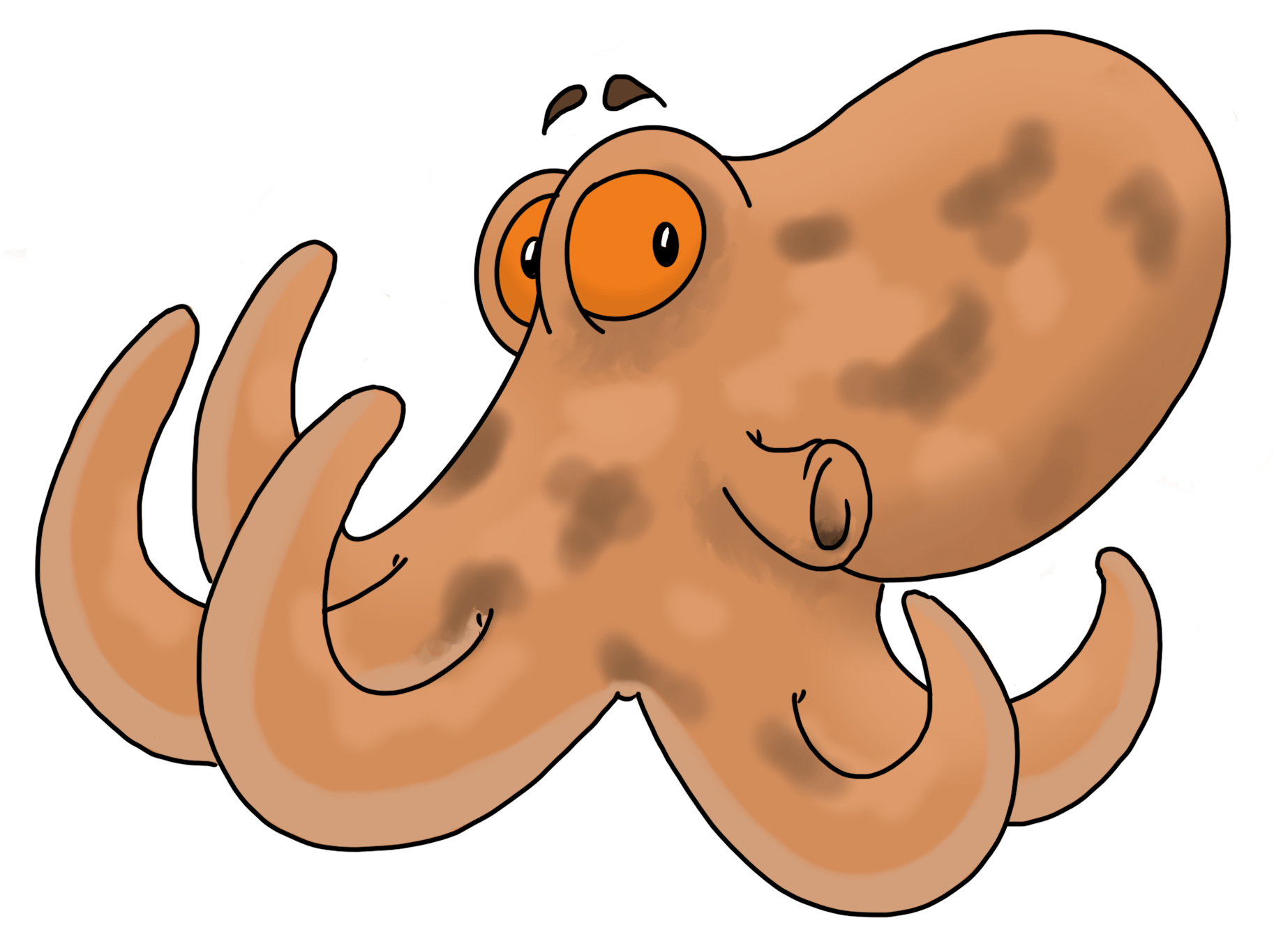 user avatar image for Herndrik Lang