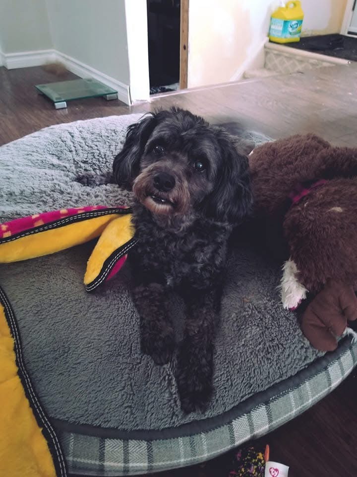 user avatar image for Kalato.B