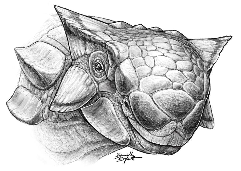 user avatar image for Chris Jarvis