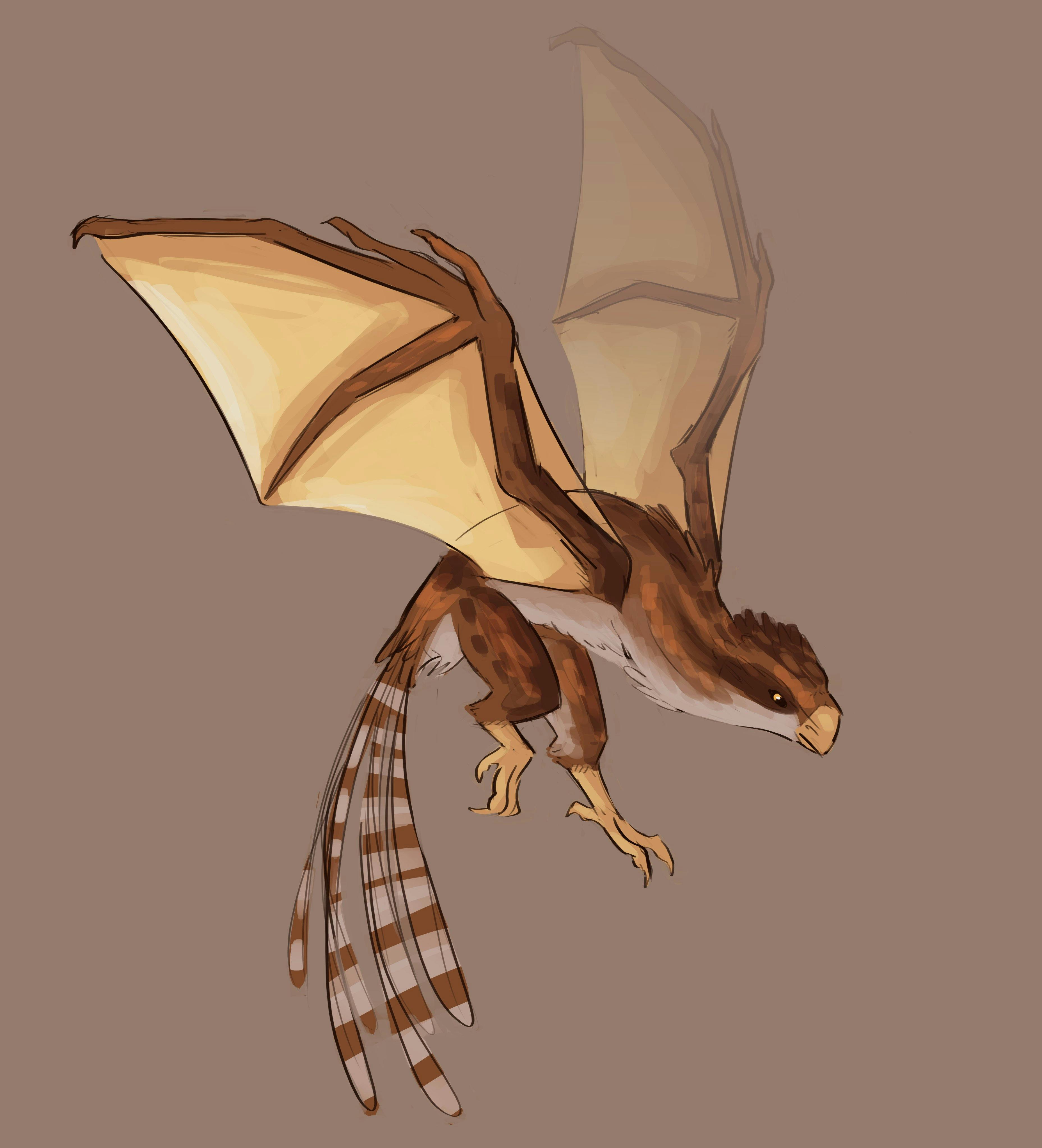 user avatar image for Tornoxys