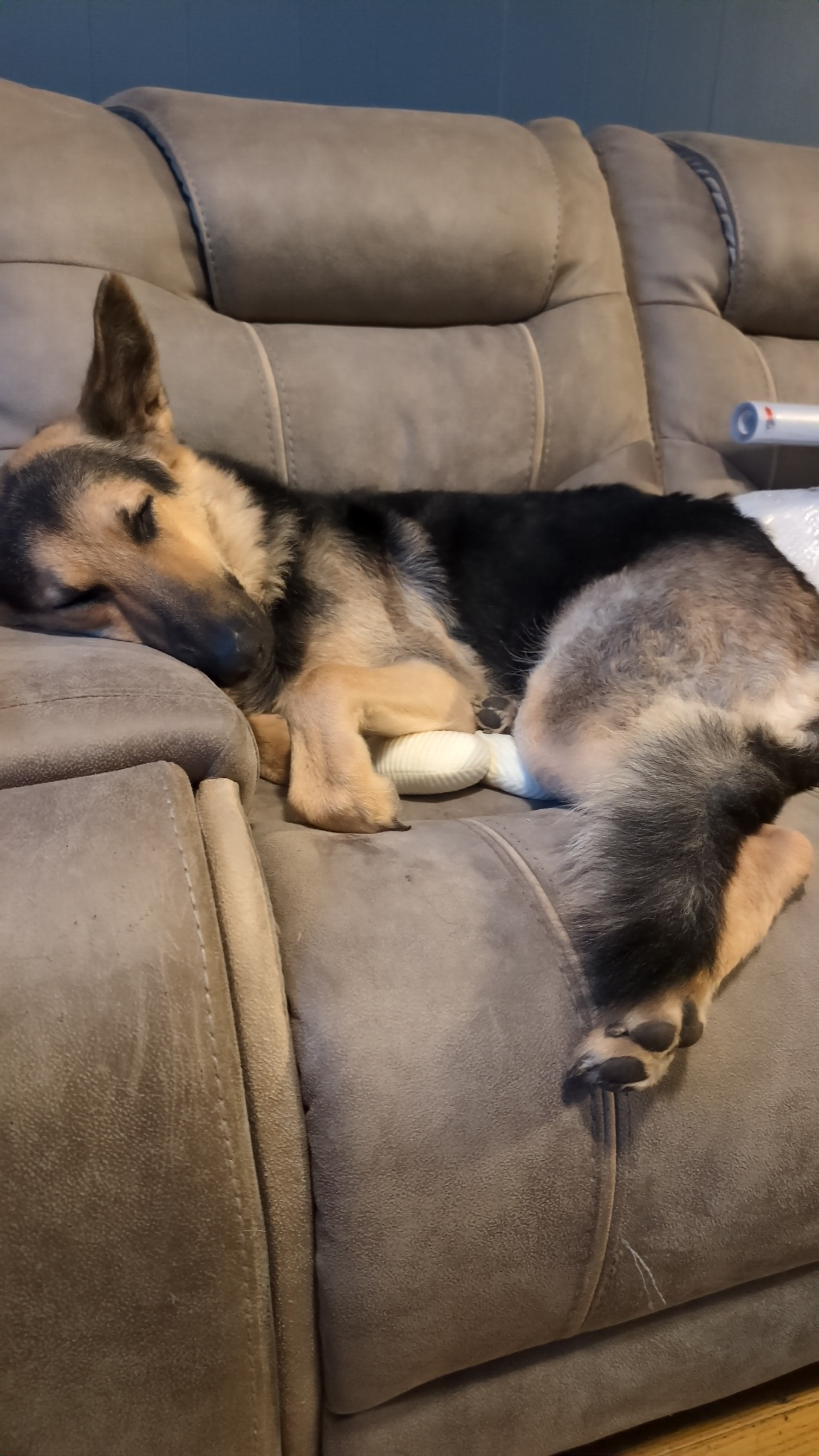 user avatar image for Amber