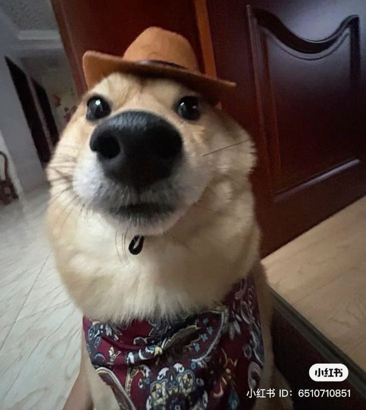 user avatar image for Cor O'Neill