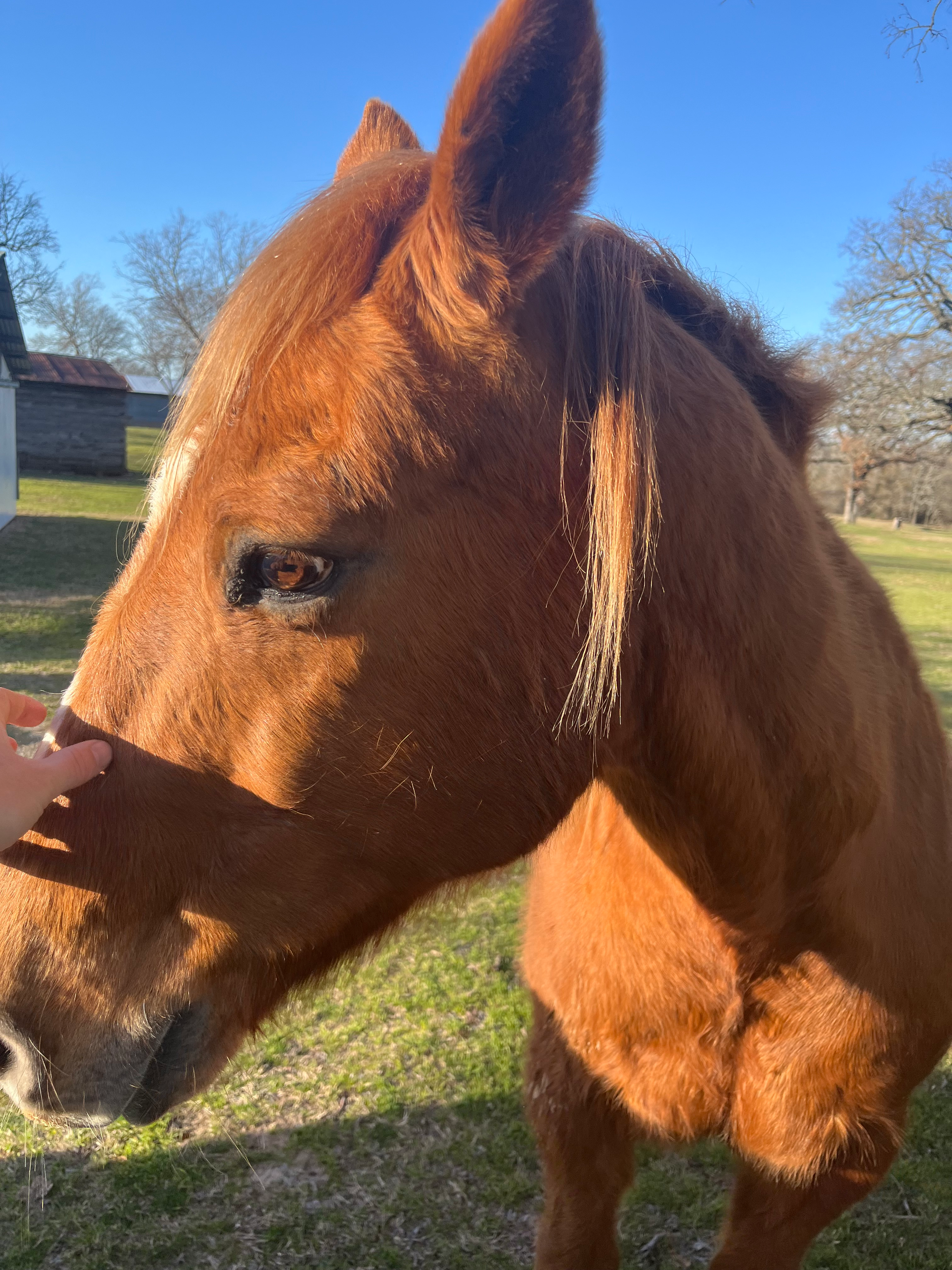 user avatar image for Ryan Bowen