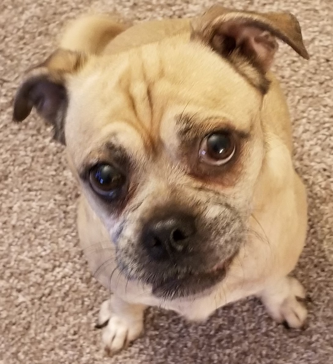 user avatar image for Kelly Pearson