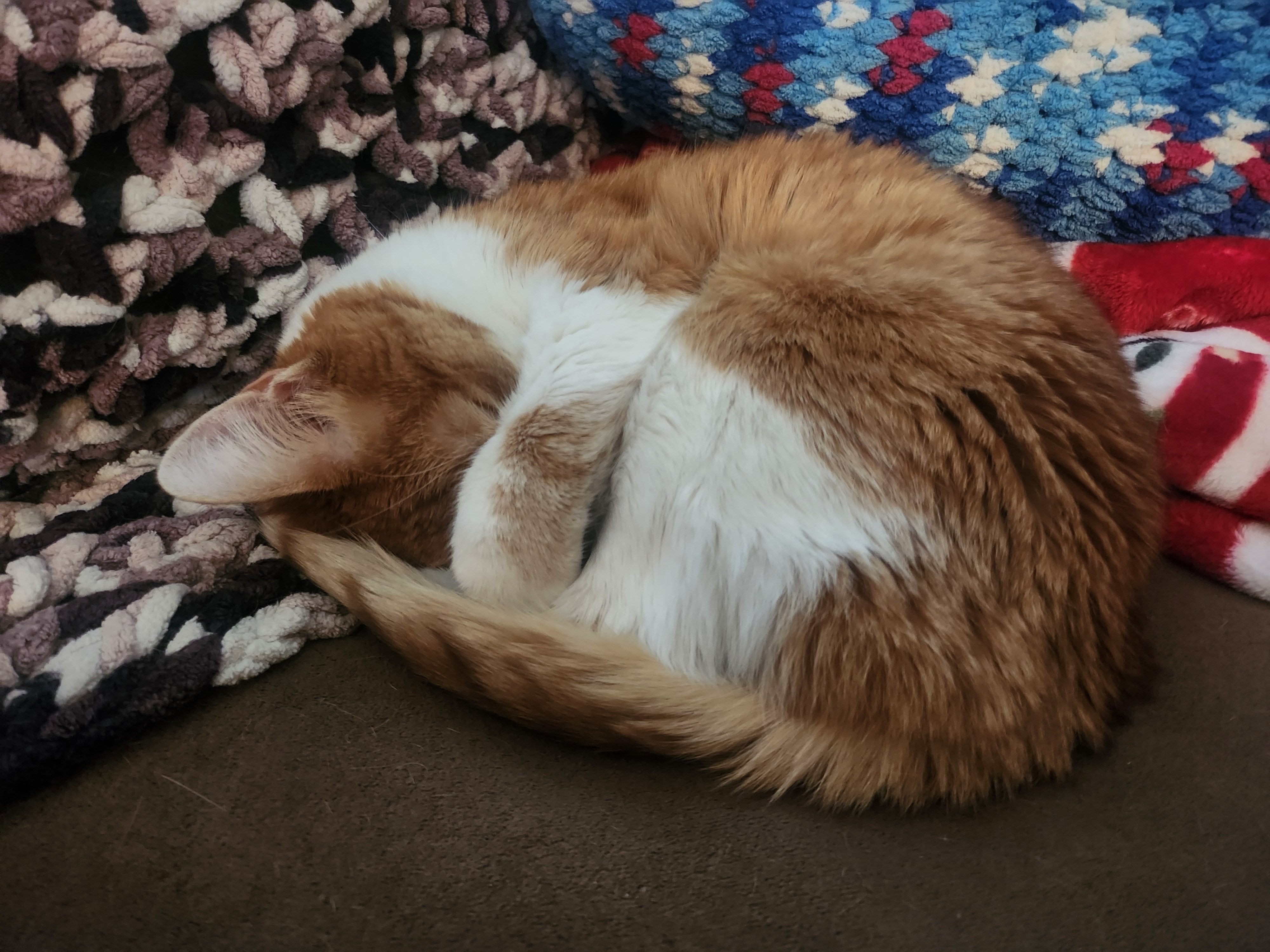 user avatar image for Wxcougar