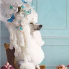 user avatar image for Brittney