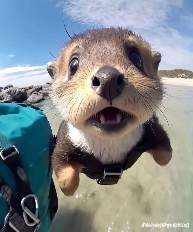 user avatar image for Abdul Hazif