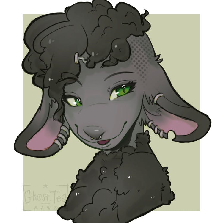 user avatar image for Phenn davis