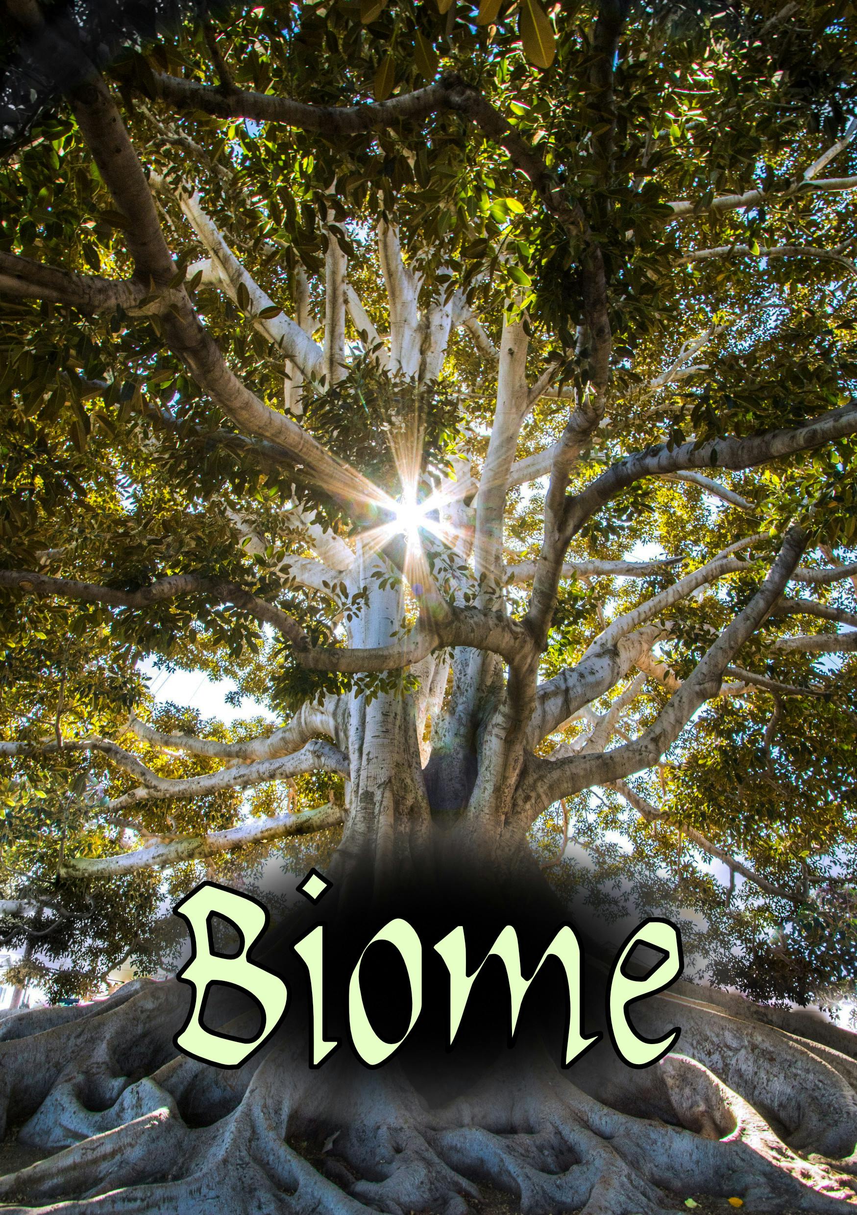 Biome (PDF)