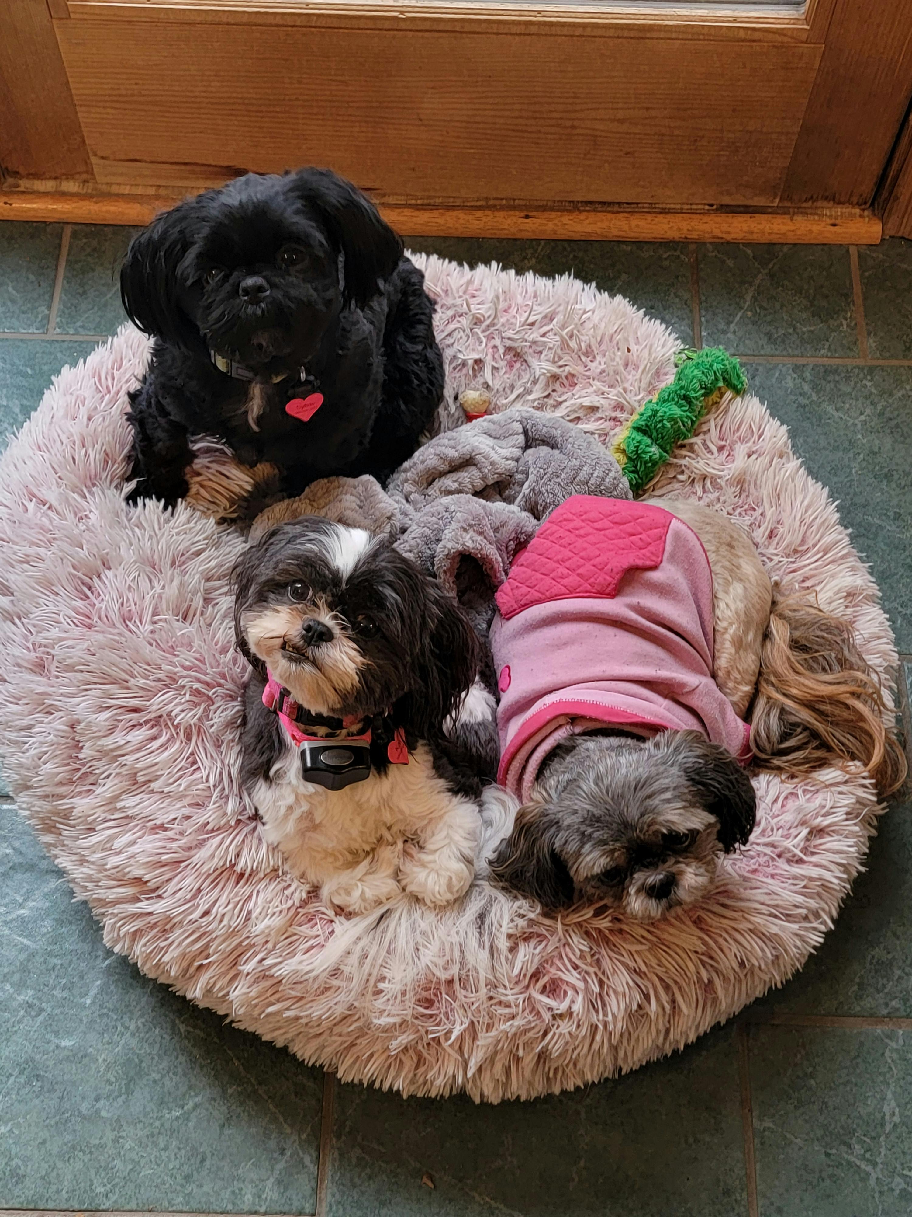 user avatar image for Jenifer