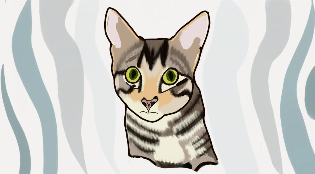 user avatar image for Ashleigh Williams