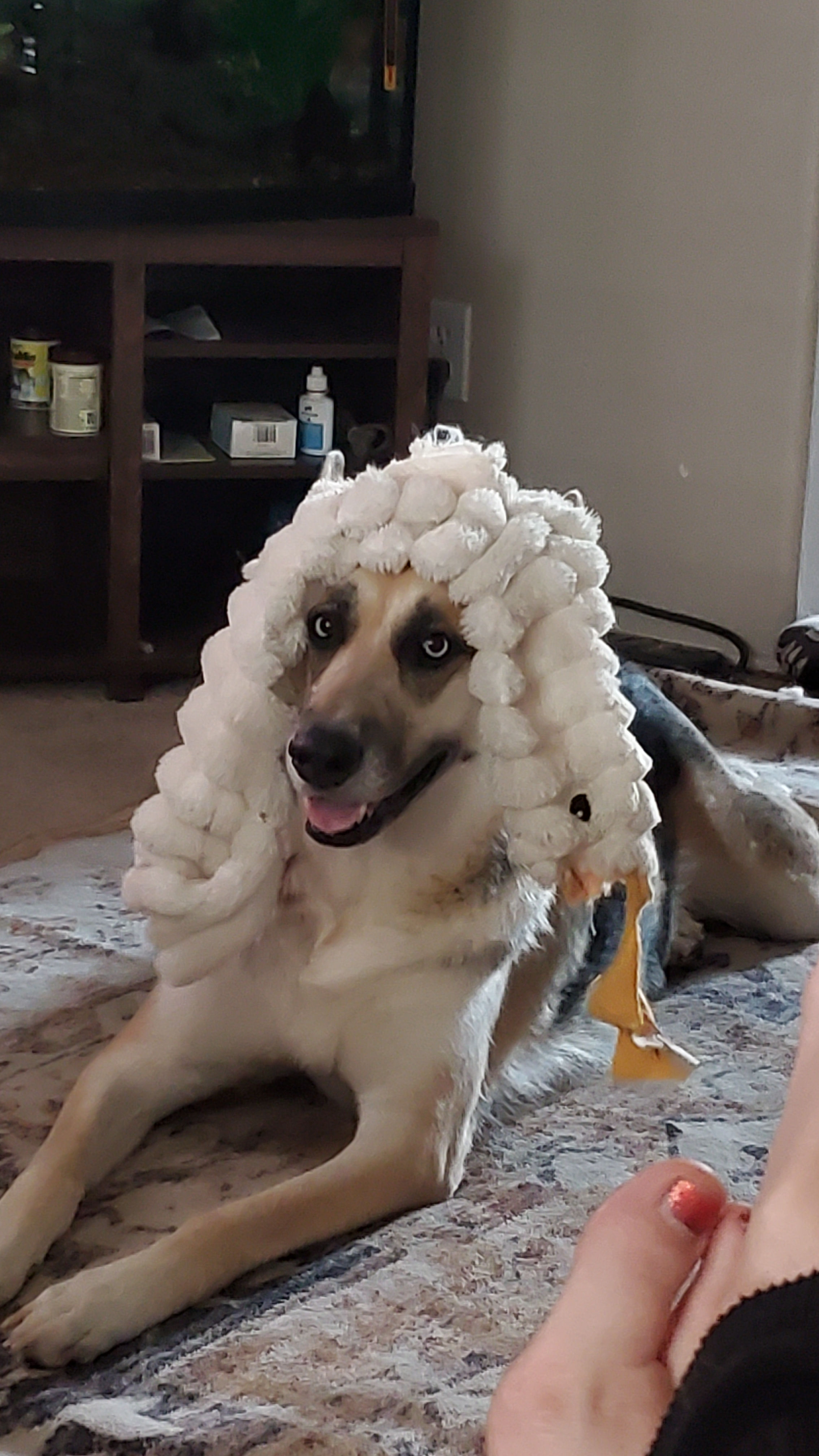 user avatar image for Kirsten 