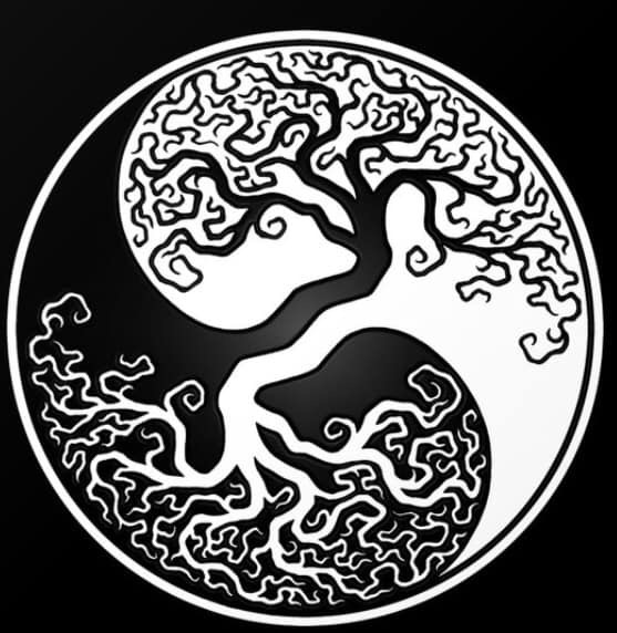 user avatar image for Christopher Dyszelski