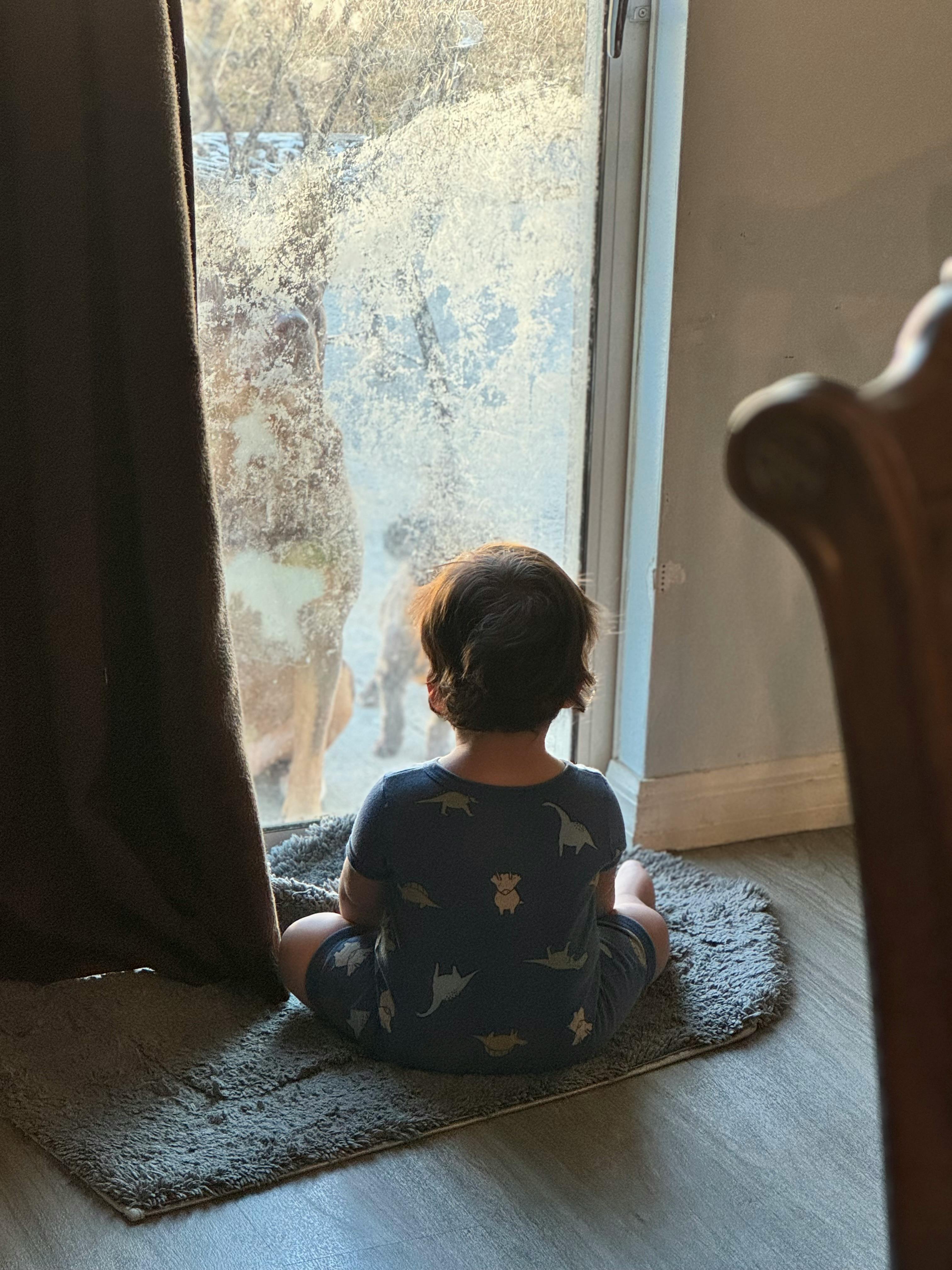 user avatar image for Chloe CancioBello