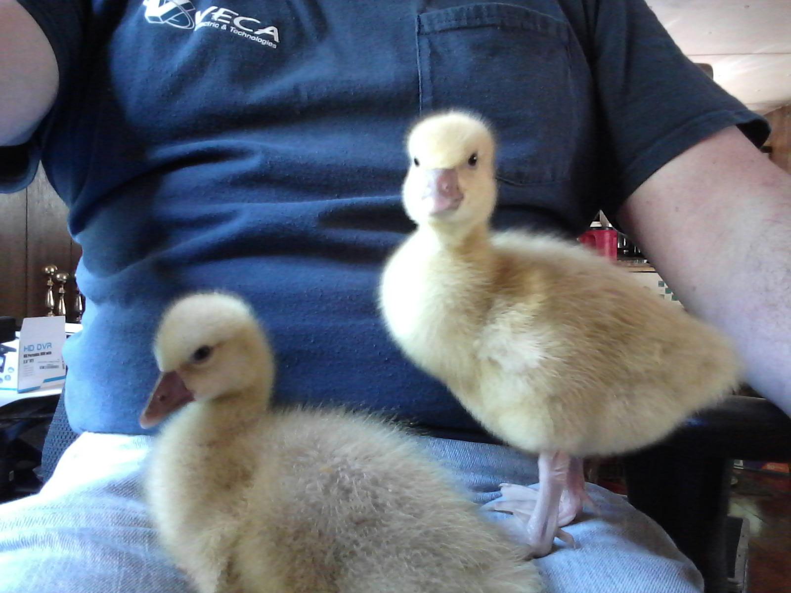 user avatar image for marshall kelch