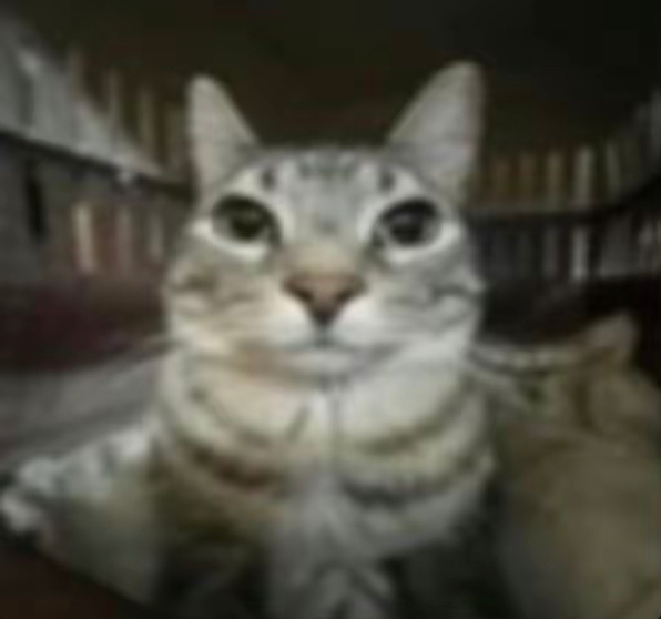 user avatar image for Tyler Andrews-Smith