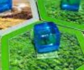 user avatar image for Anonymoose Sea Turtle