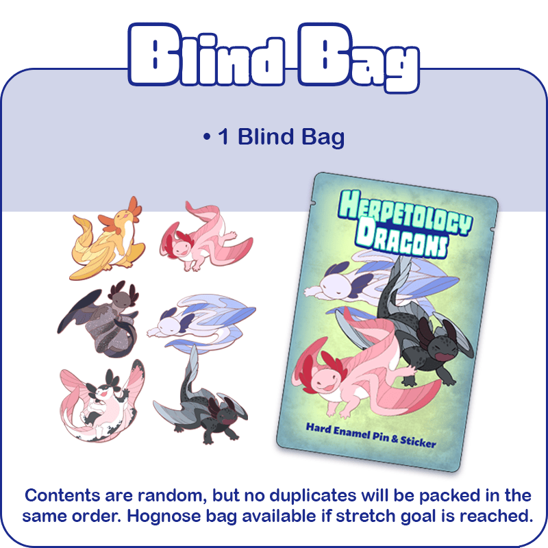 1 Blind Bag