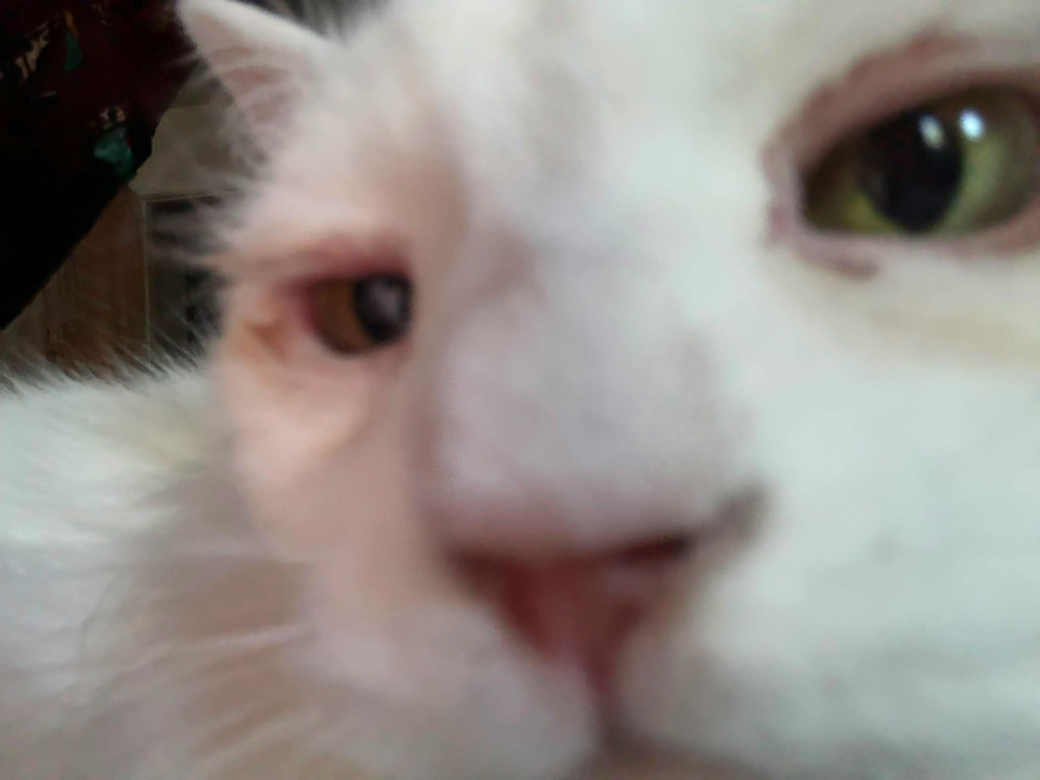user avatar image for Petja