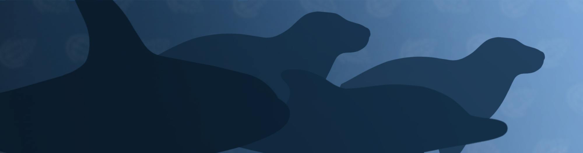 Varmintfeathers' Whales and Seals