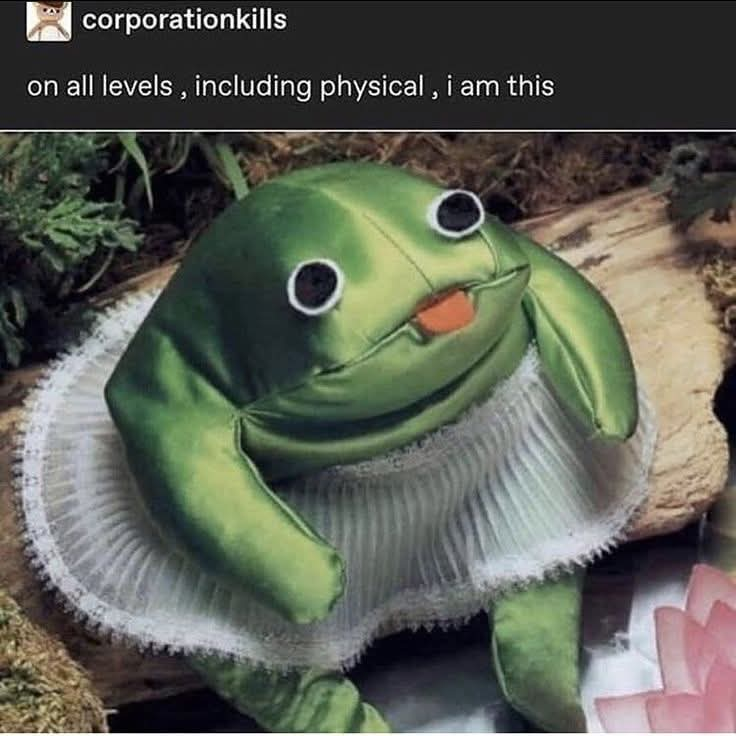 user avatar image for Shortkitsu 