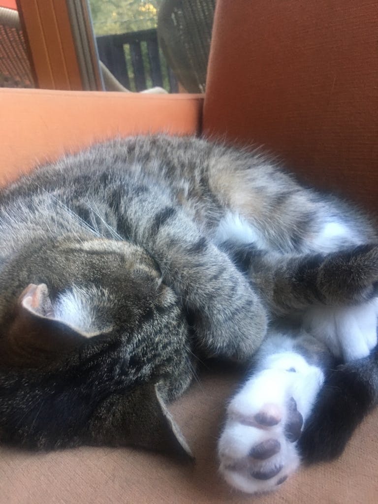 user avatar image for Irma Boissy