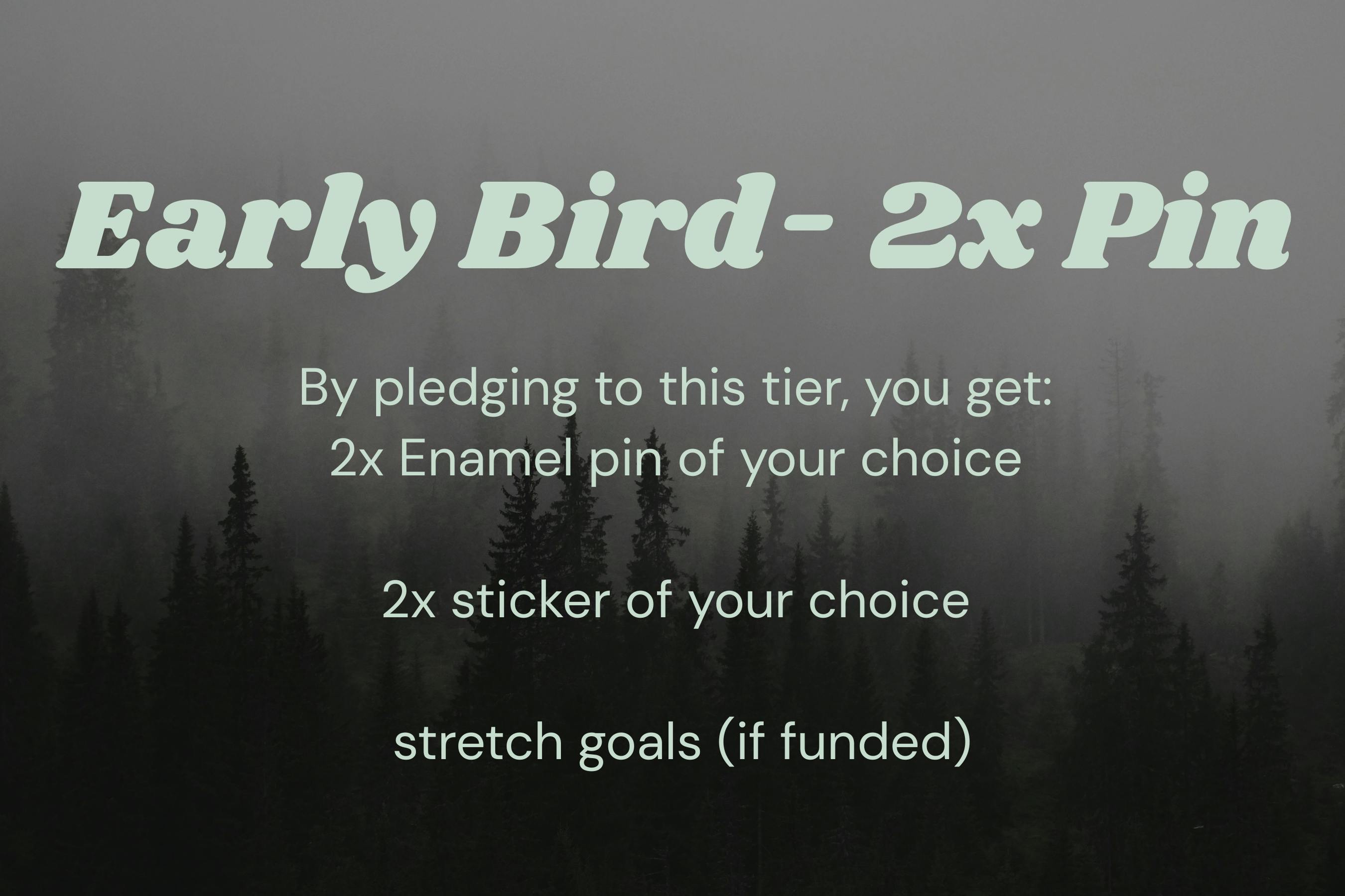 EARLY BIRD: 2 Enamel Pins