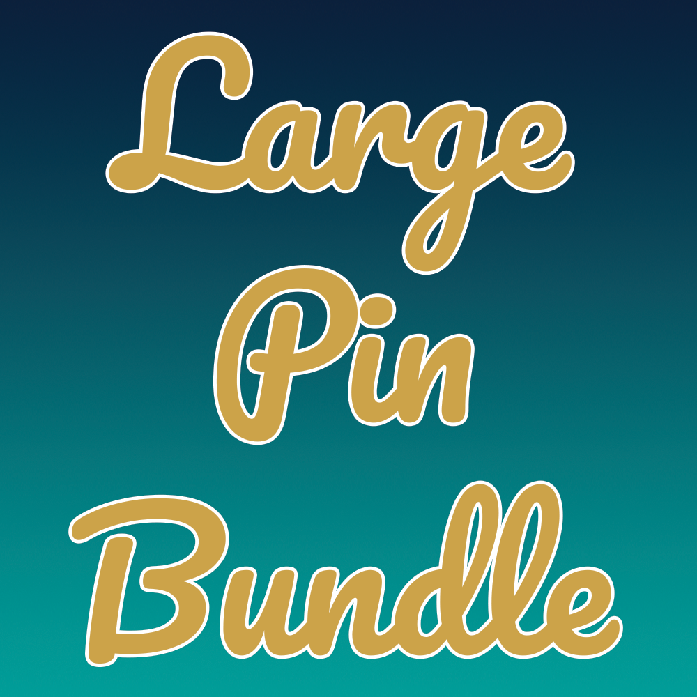 Large Enamel Pin Bundle