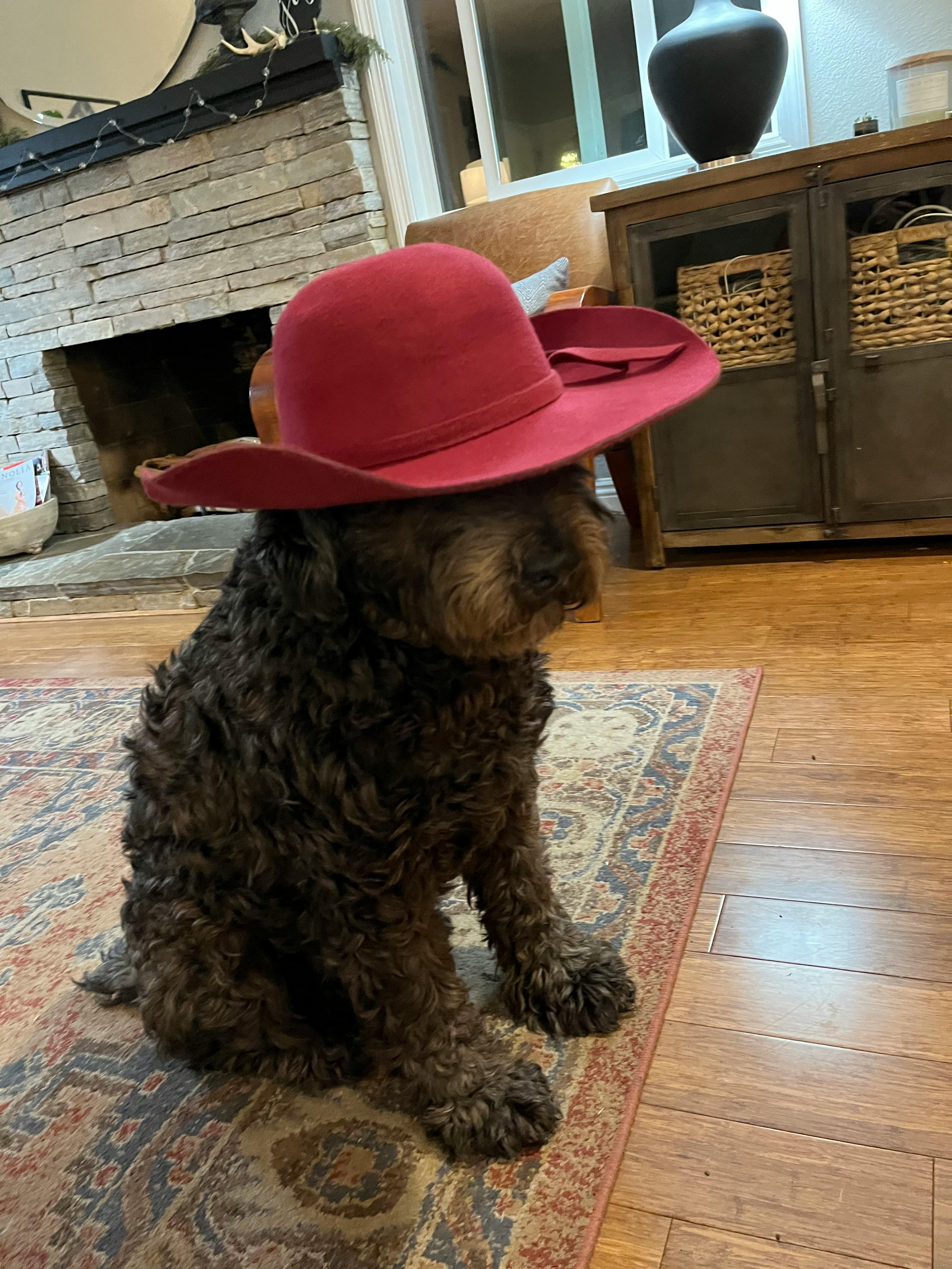 user avatar image for That1bard