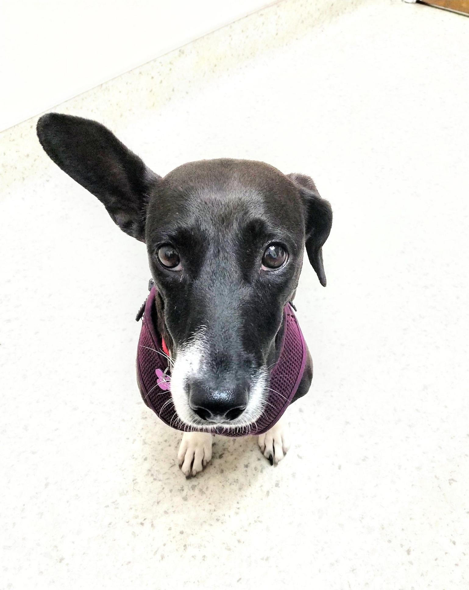 user avatar image for Heather Carroll