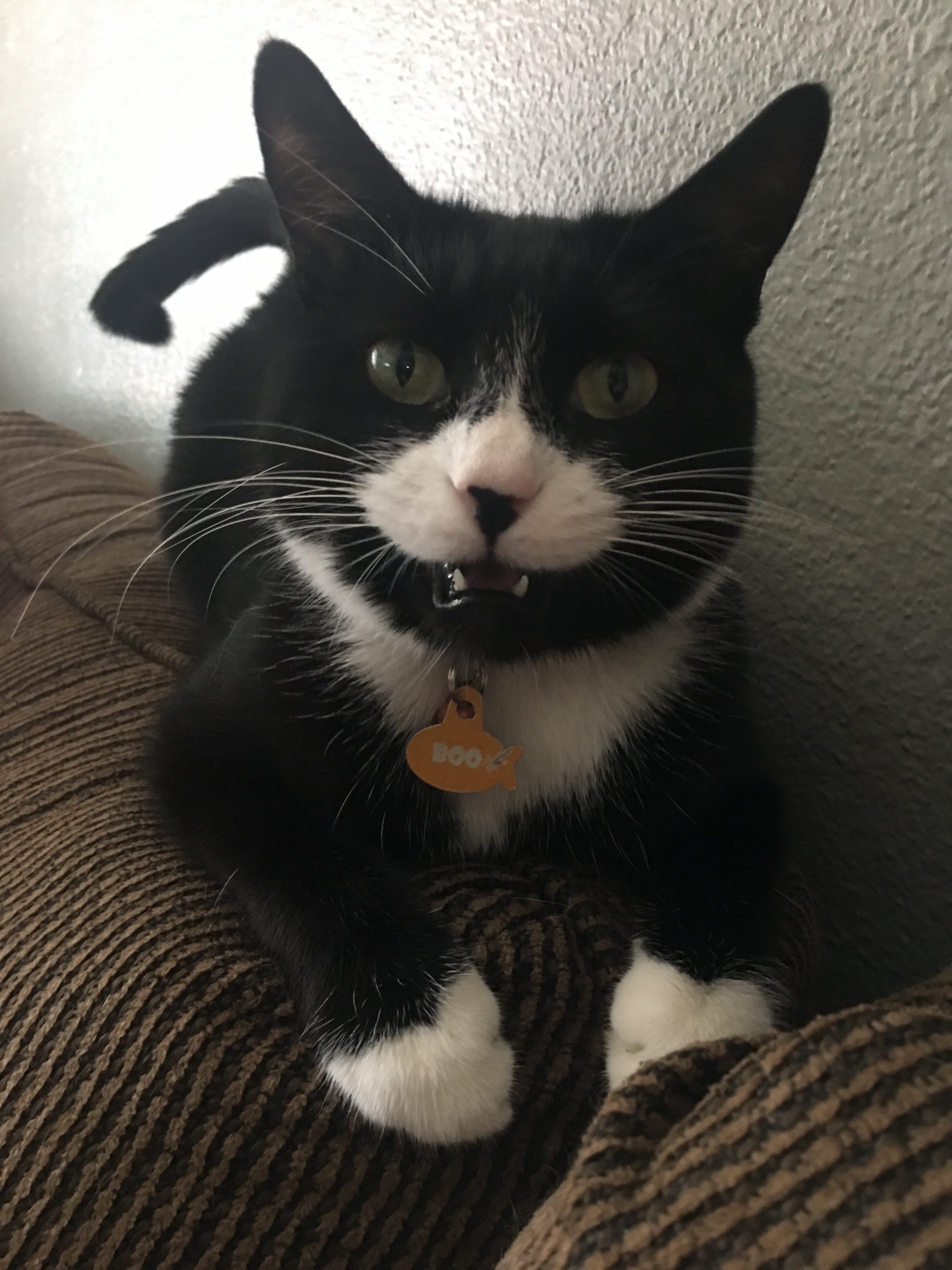 user avatar image for KDunk