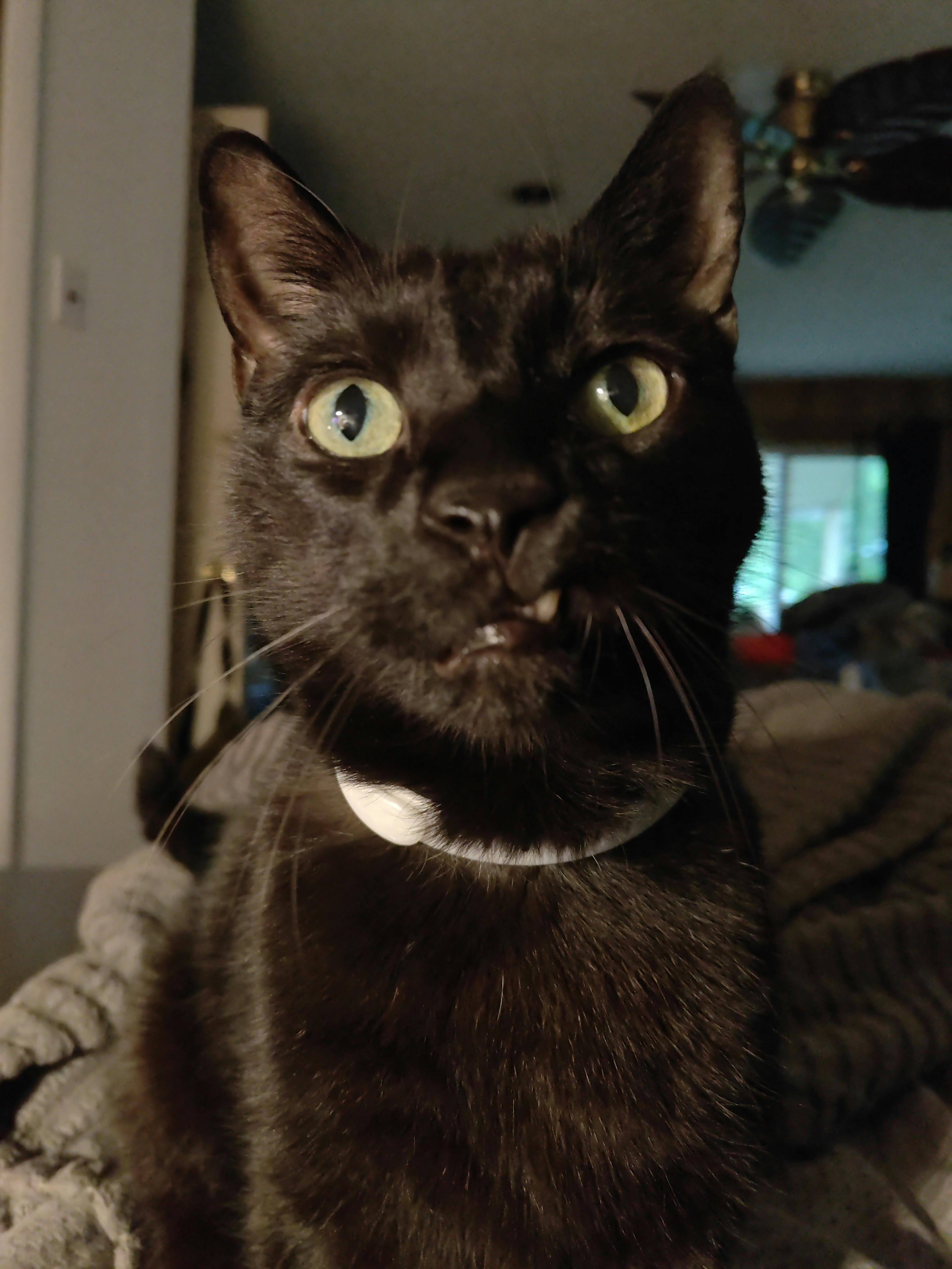 user avatar image for Merry