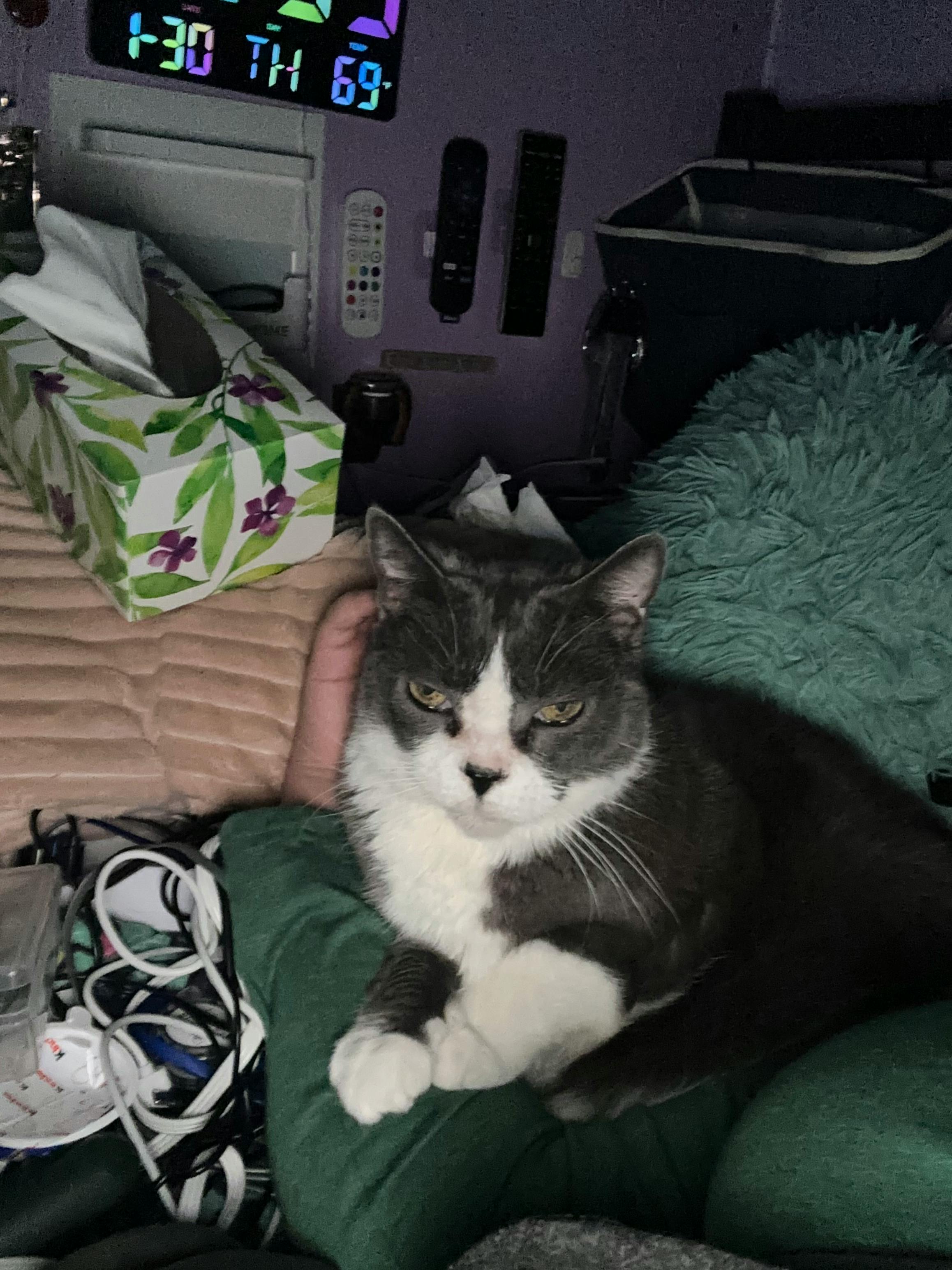 user avatar image for Krystina