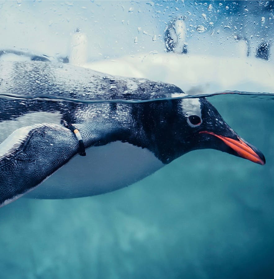 user avatar image for Bree