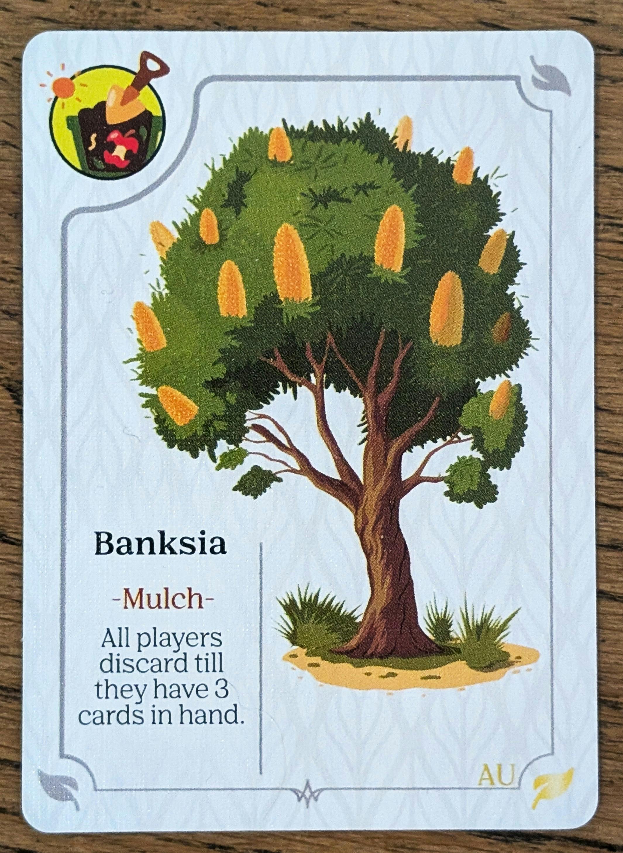 Australian Exclusive 