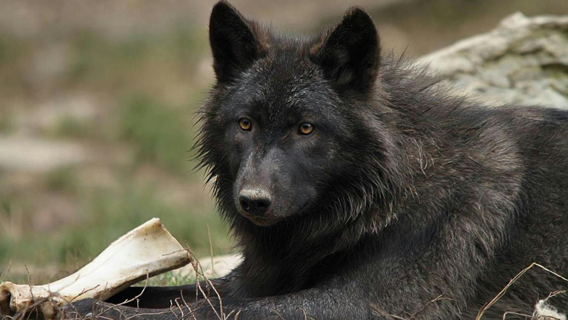 user avatar image for Sleekit