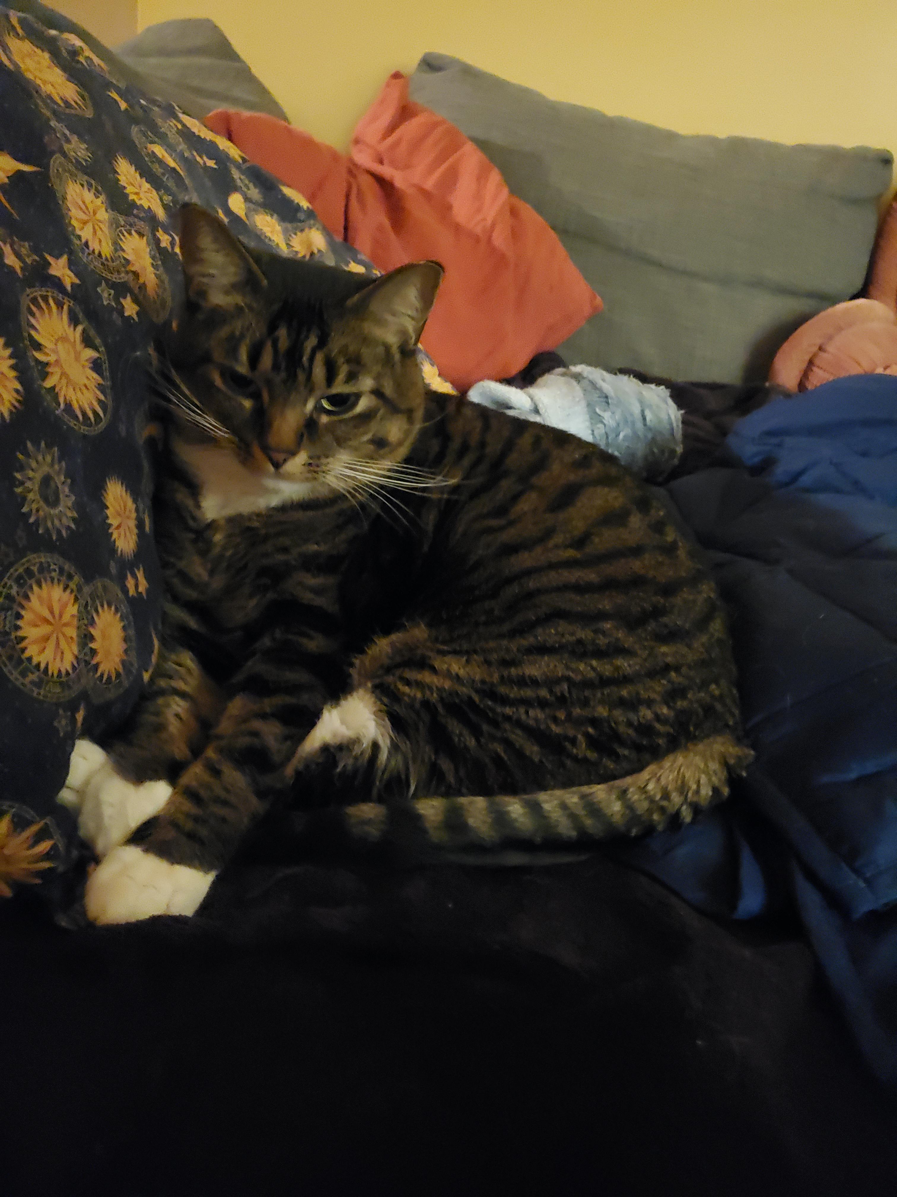 user avatar image for Rowan