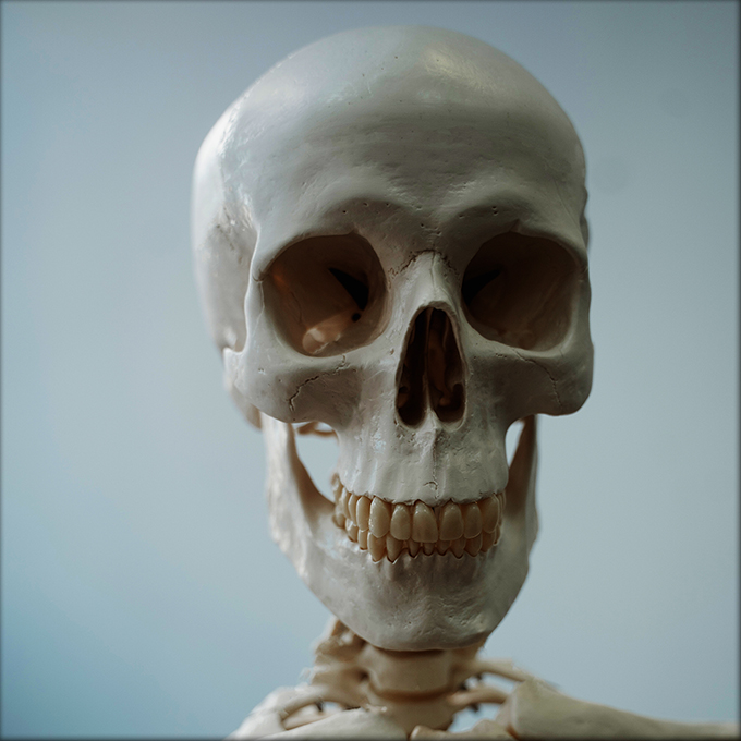 user avatar image for Thunderpudd