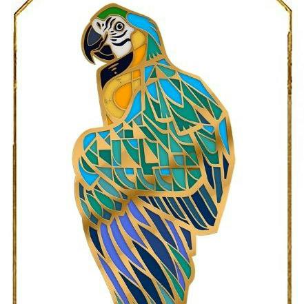 Blue & Gold Macaw