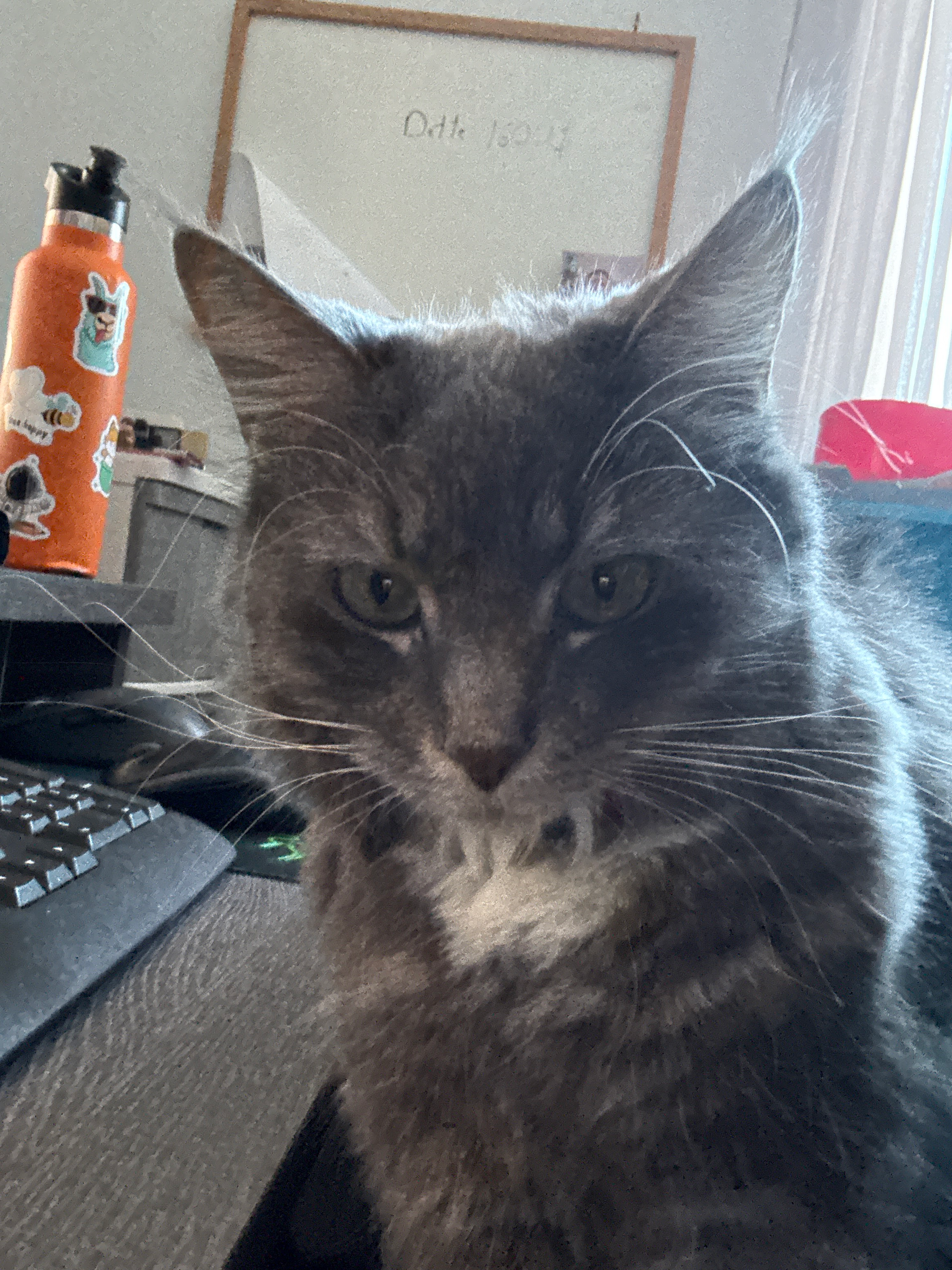 user avatar image for Jean-Sébastien Lapointe