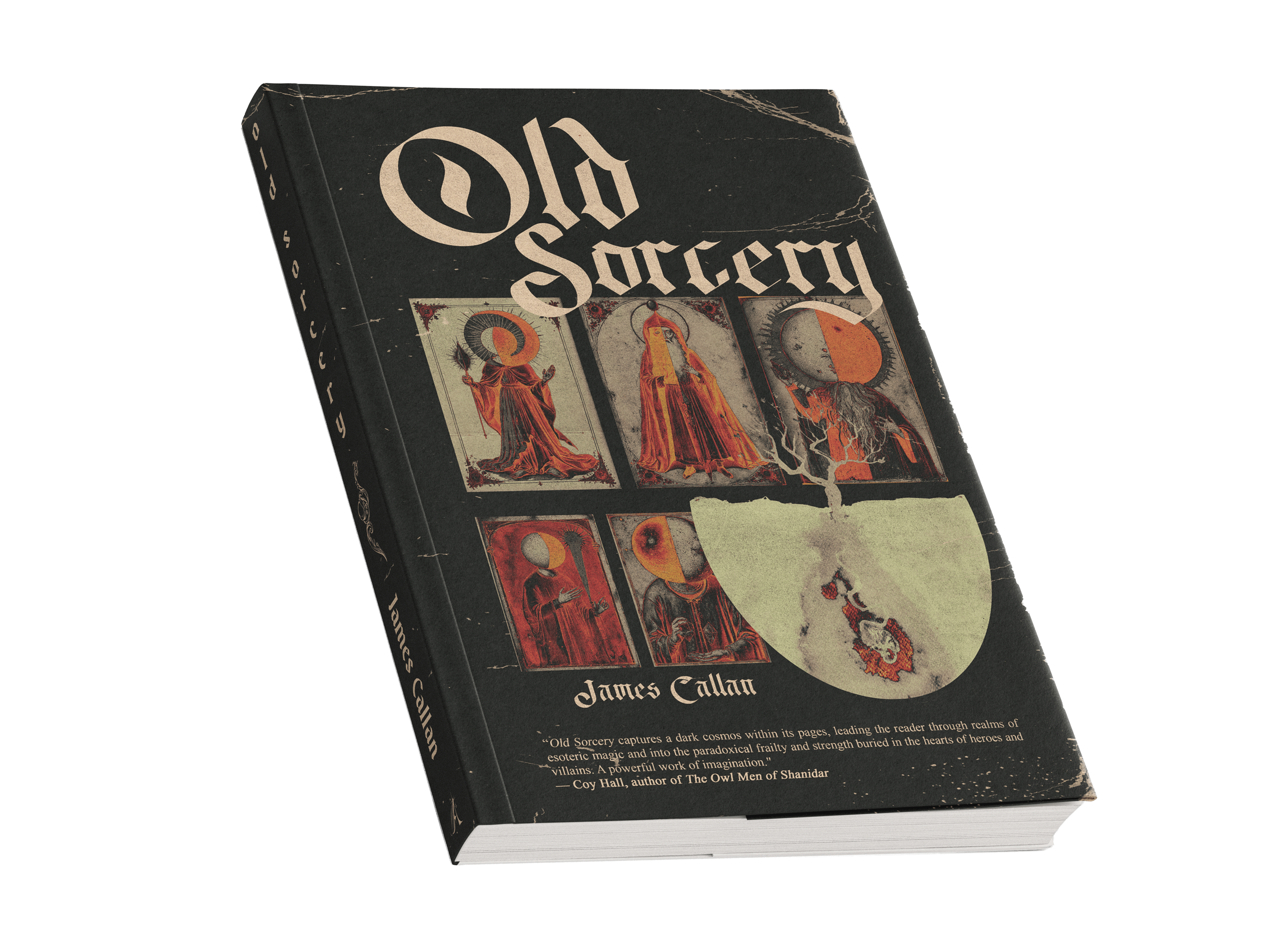 Apprentice (Paperback)