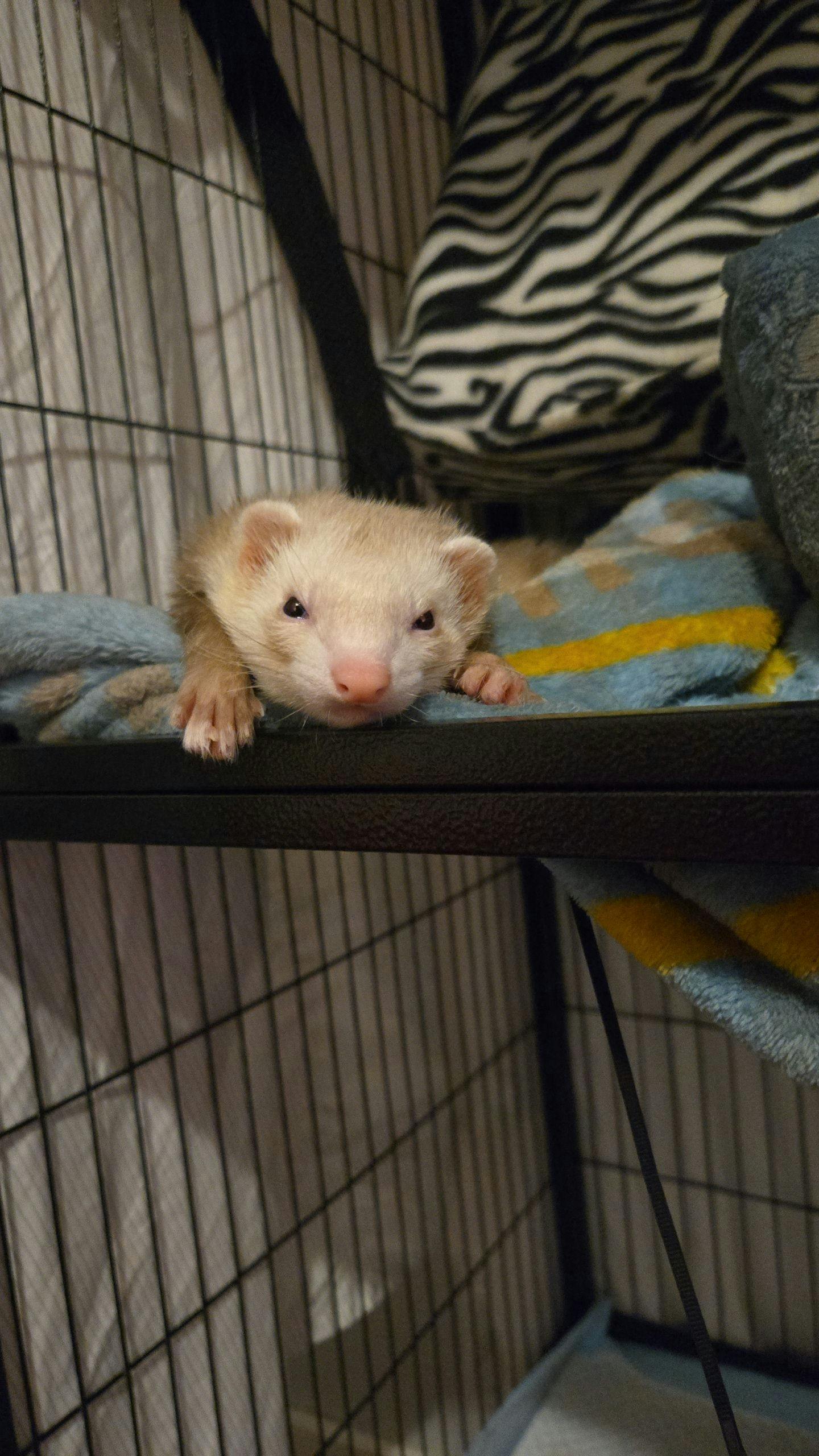 user avatar image for Rini