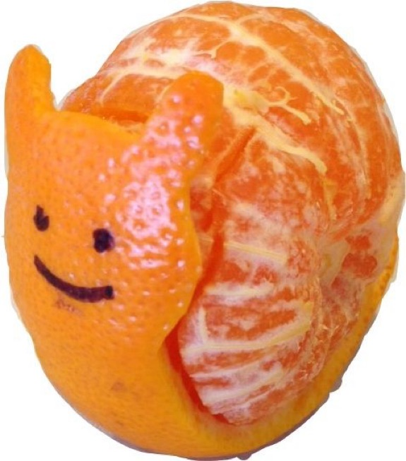 user avatar image for Anonymous Cardinal #2073681