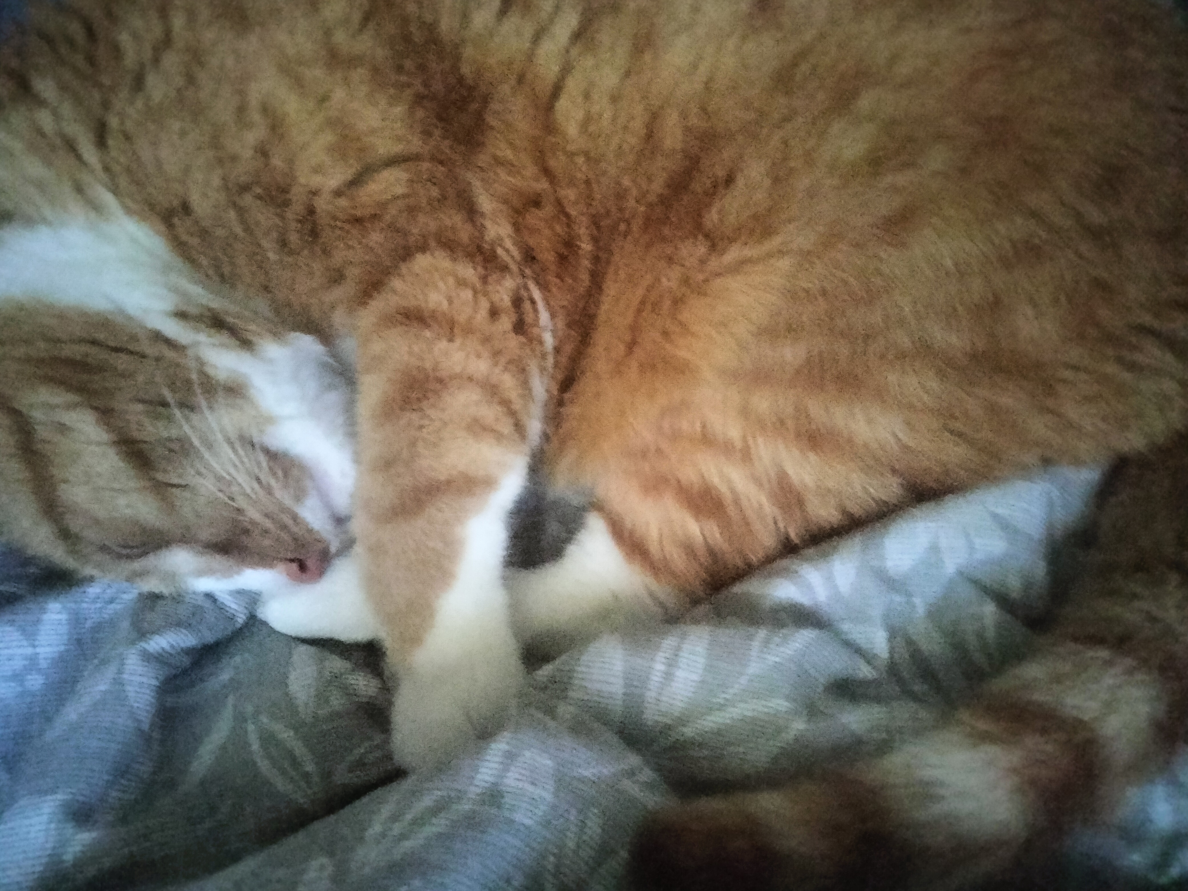 user avatar image for Elizabeth Slater