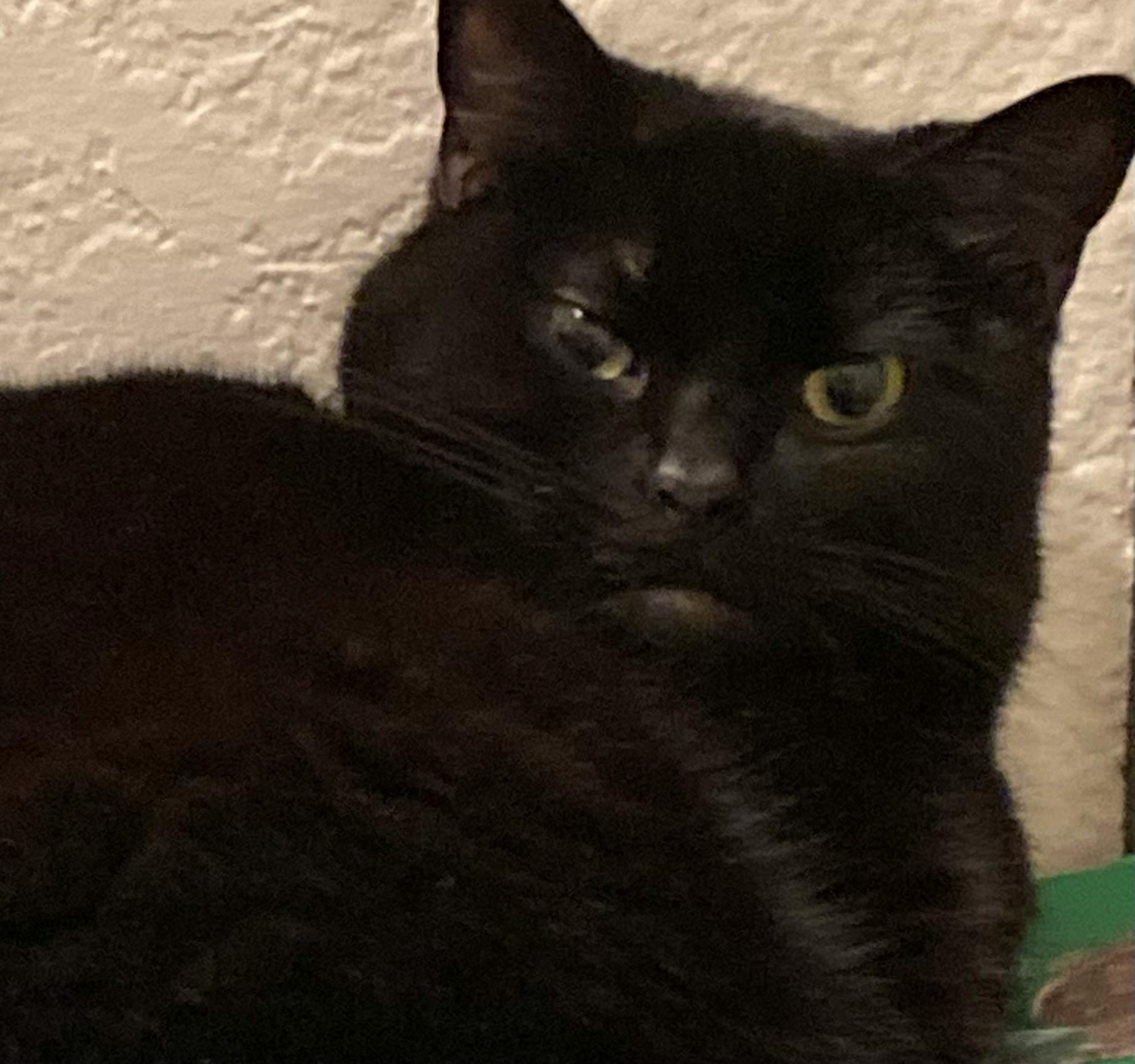 user avatar image for Meagan Waltz