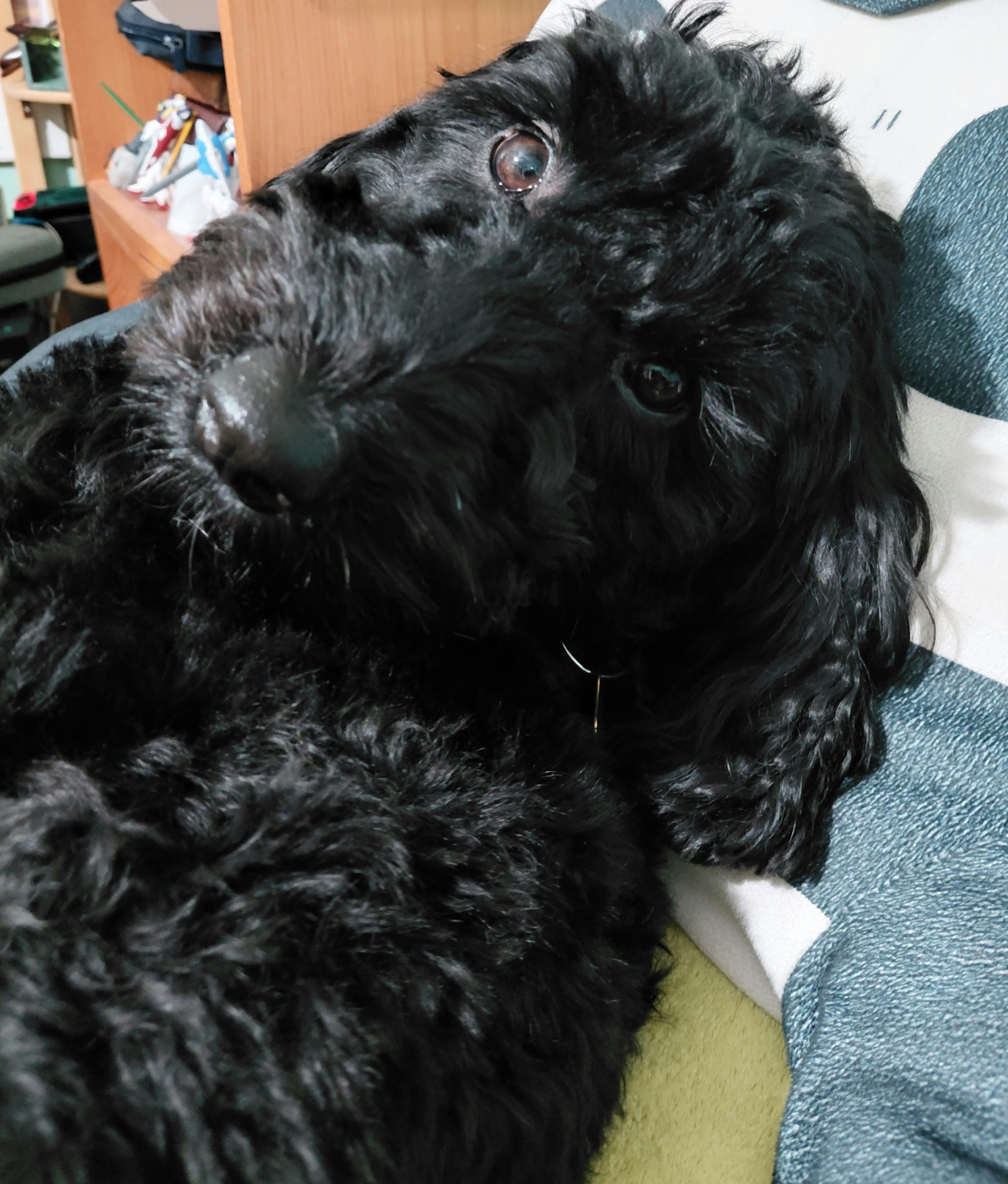 user avatar image for Julia